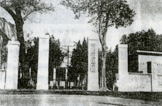 The Old Camohor at the School Gate
