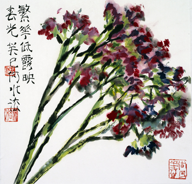 Spring Charm in Full Blossom