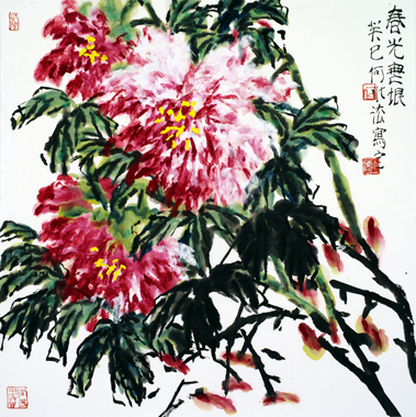 Spring Time Knows no Limits